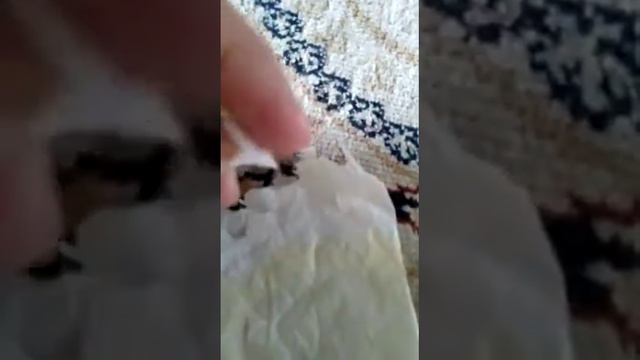 Наши биоразлогаемые пакеты!Мы за экологию! Мы за ЧИСТУЮ ПЛАНЕТУ! смотреть онлайн