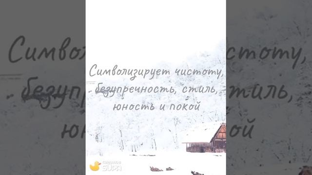 Белый #shorts смотреть онлайн