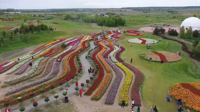 Добро парк - Киев смотреть онлайн