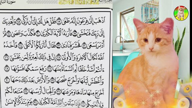KUCING MENGAJI JUZ AMMA || SURAT ANNAZIAT AYAT 17 - 32 IRAMA MERDU смотреть онлайн