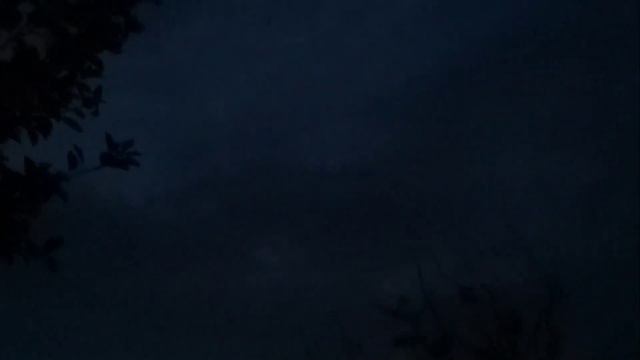 Сладкое пение птичек ранним утром🕊Sweet song of birds in the early morning смотреть онлайн