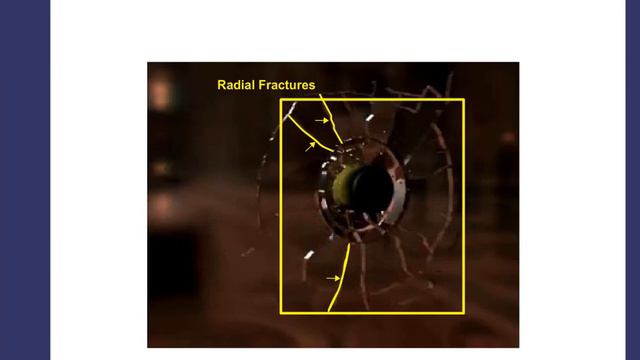 Formation Of Radial And Concentric Fractures In Glass