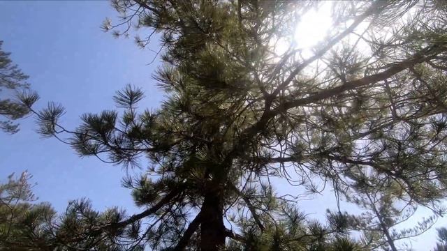Troodos Walking at Mnimata Piskopon Cyprus смотреть онлайн