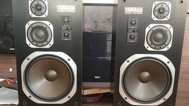 Yamaha NS-500M смотреть онлайн