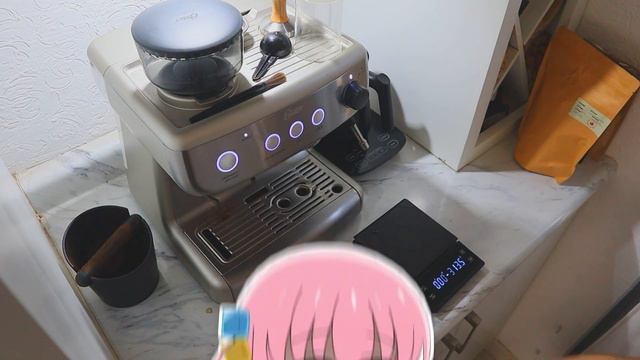 The Honkai Star Rail Free To Play Experience смотреть онлайн