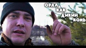 Редкое серебро.