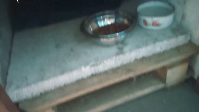 Будка для Ёши, из стола и пенопласта. ???