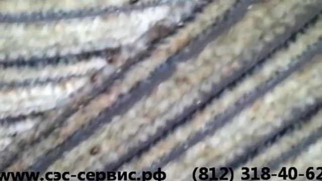 Клопы в диване смотреть онлайн