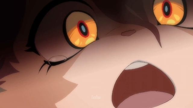 Lop Jedi #rule34 #furry смотреть онлайн