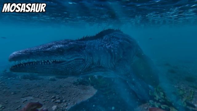 Comparing The ASE Dinos To The Ark Survival Ascended Dinos!! || Ark Survival Ascended смотреть онлайн