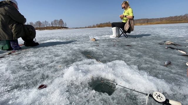 Аргази, бешенный клев Чебака, 14 апреля 2021! Жена vs Муж! смотреть онлайн