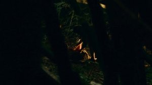 Idealnyi Pobeg идеальный побег