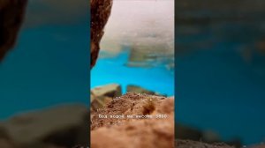 VID_20240301_105225_414.mp4