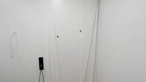 Как сделать фитостену с подсветкой своими руками?