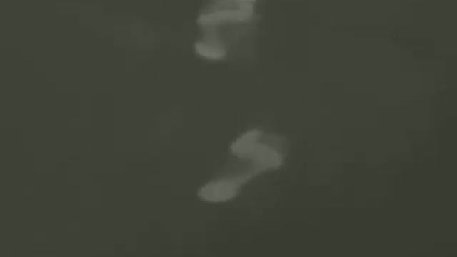 Тепловизор iRay xEye E3 Plus V2 видит даже следы! смотреть онлайн