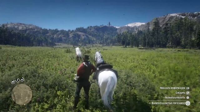 Превосходная Шкура Оленя-Вапити. Red Dead Redemption 2. смотреть онлайн