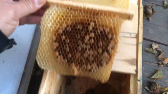 Помощь для начинающих матководов смотреть онлайн