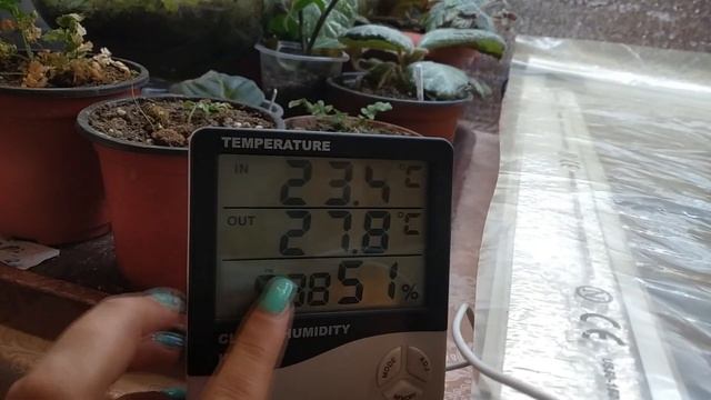 Адениум тучный (adenium Obesum): эксперемтируем с грунтами для посева