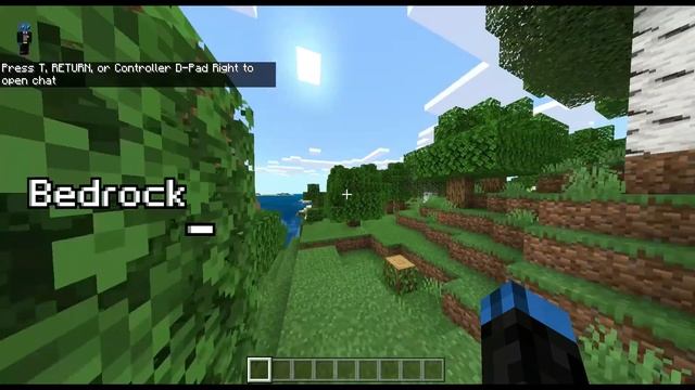 Minecraft: Java Vs Bedrock Chunk Loading/rendering