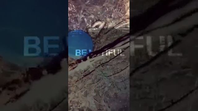 Baby Python will be Rescue and Release in While Life смотреть онлайн