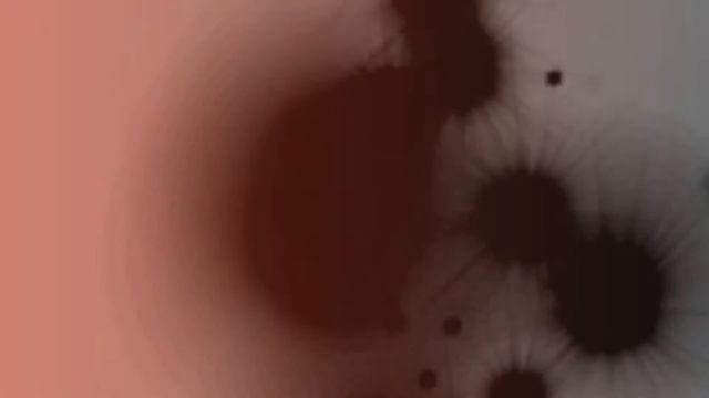 LEGEIA | UG | Audiovisual experimental installation | Digital Arts | By Adrián Saldaña.