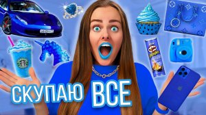 СКУПАЮ ВСЕ СИНЕГО ЦВЕТА ЧЕЛЛЕНДЖ! МОЙ бюджет не ограничен! 24 часа одного цвета!