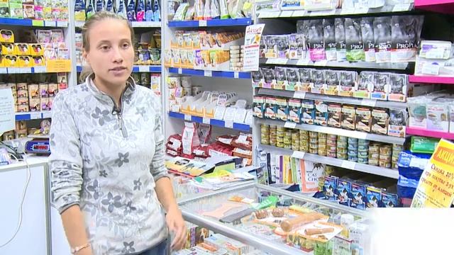 День защиты животных смотреть онлайн