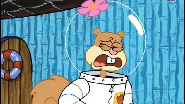 Губка Боб Навязчивая мелодия 5