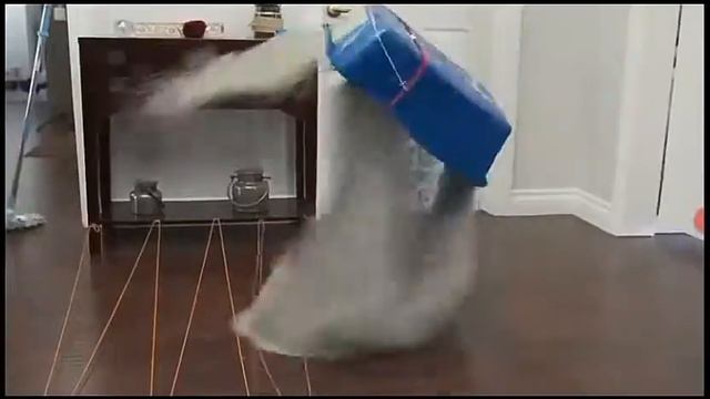 Здесь так красиво Я котик молодой музыка смотреть онлайн