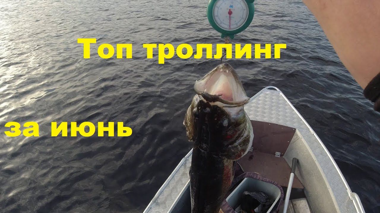 Лучшие троллинговые воблеры за июнь 24 смотреть онлайн