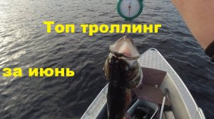 Лучшие троллинговые воблеры за июнь 24