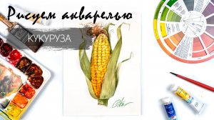 Рисуем кукурузу. Уроки рисования. Овощи акварелью