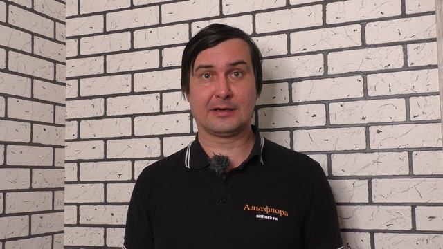 Здоровая земля, Витарос, Здоровый газон, Витавакс - обзор на протравители почвы от болезней смотреть онлайн