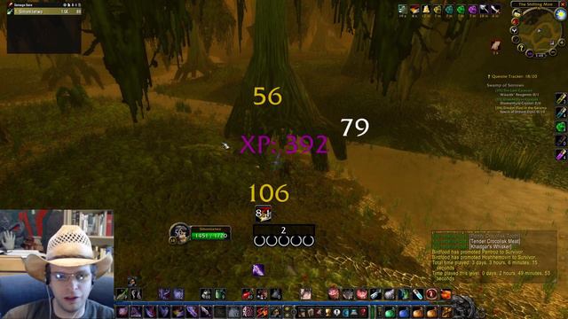 Questing in a SWAMP Has Never Been Better! Hardcore Rogue - VOD 5/25 смотреть онлайн