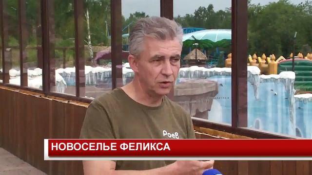 НОВОСЕЛЬЕ ФЕЛИКСА