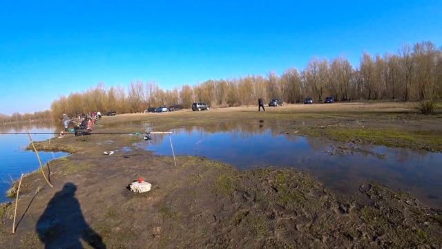 Рыбалка на Десне 2021!Новоселки!Трофейный ЛЕЩ!ПЛОТВА,ГУСТЕРА 2021! смотреть онлайн