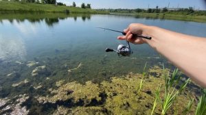 DUO Tetra Works React 55