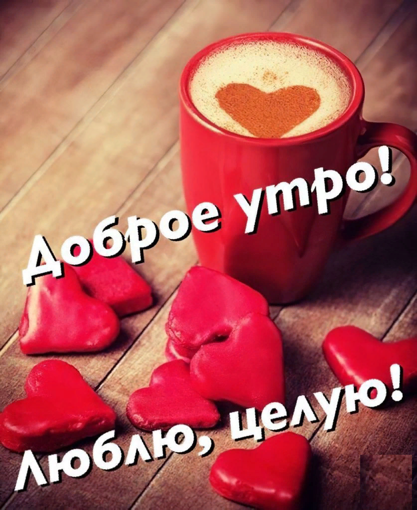 Доброе утро любимый! Целую!Люблю! Для тебя любимый! Музыкальная открытка для любимых людей! Чекалин смотреть онлайн