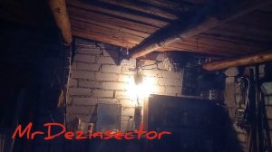 Осы в гараже ,как уничтожить гнездо.