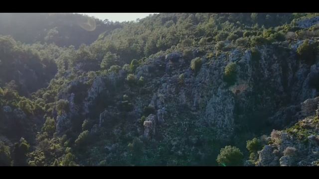 Стихотворение "В разлуке" Автор Александр Григорьев. смотреть онлайн