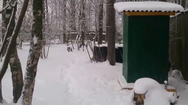 Охота на Санта Клауса с помощью ротвейлера смотреть онлайн