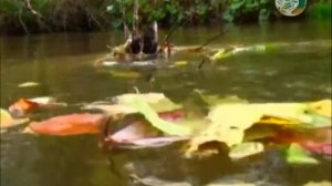 Заповедник Присурский (Чувашская Республика)