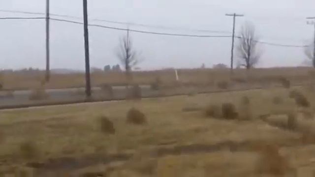 Миграция перекати поле Боузман, штат Монтана смотреть онлайн