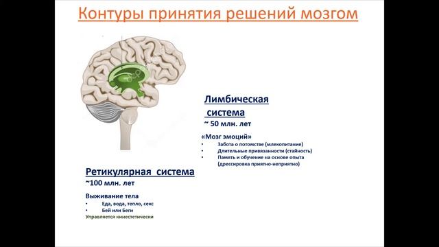 Страхи есть у всех. Не все могут с ними бороться смотреть онлайн