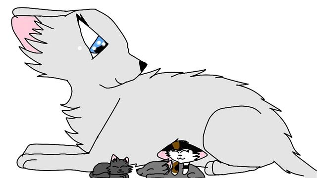 КОТЫ ВОИТЕЛИ | ИНТЕРАКТИВ - 16. Игра "КАРТИНКИ" смотреть онлайн