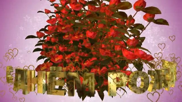 Шикарное 3D поздравление С ДНЁМ РОЖДЕНИЯ! ОГРОМНЫЙ БУКЕТ КРАСНЫХ РОЗ смотреть онлайн
