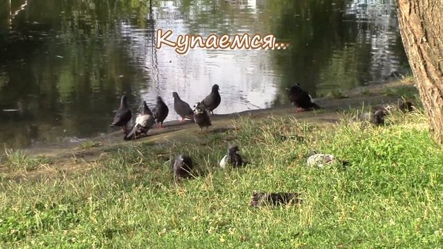 И так бывает А мы на море И в шутку, и всерьез And we are at sea Both jokingly and seriously смотреть онлайн