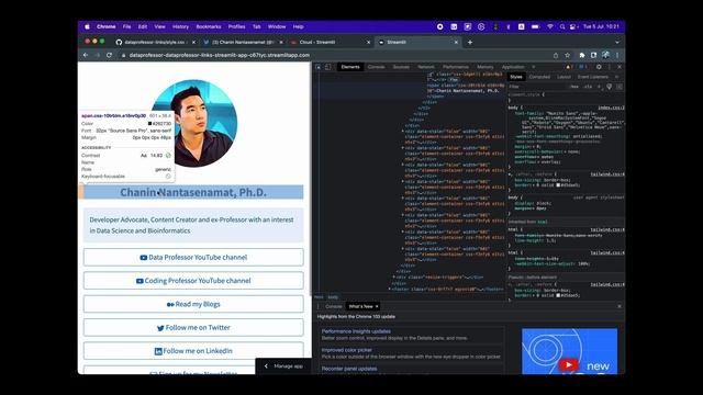 How to build a Linktree Clone using Python + Streamlit смотреть онлайн
