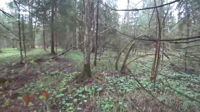 Лайфхаки для Путешествий