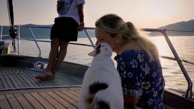 Positive energy. Sunny Montenegro. 4 K ULTRA HD. Позитивная энергия. Солнечная Черногория. смотреть онлайн